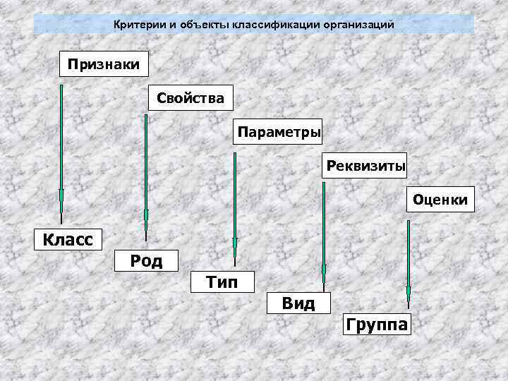 Критерии и объекты классификации организаций Признаки Свойства Параметры Реквизиты Оценки Класс Род Тип Вид