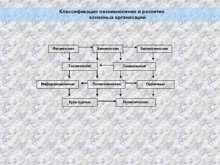 Классификация возникновения и развития основных организаций Физические Химические Технические Информационные Культурные Биологические Социальные Экономические