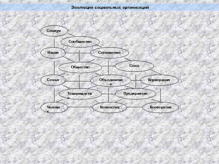 Эволюция социальных организаций Социум Сообщество Нация Соглашение Союз Общество Семья Товариществ о Челове к