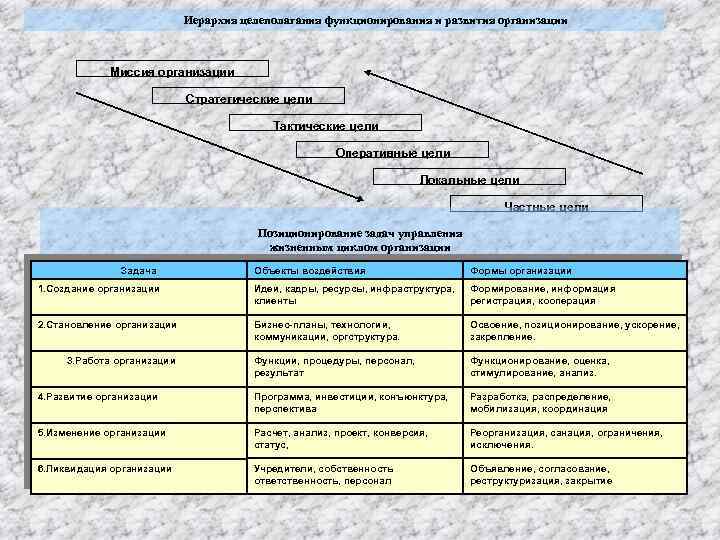  Иерархия целеполагания функционирования и развития организации Миссия организации Стратегические цели Тактические цели Оперативные