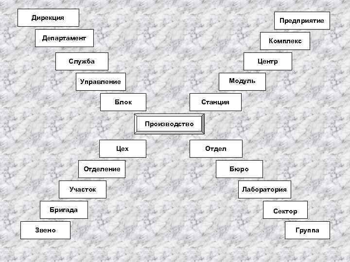 Дирекция Предприятие Департамент Комплекс Служба Центр Модуль Управление Блок Станция Производство Цех Отделение Участок