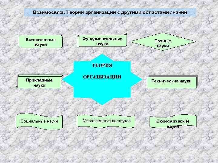 Взаимосвязь Теории организации с другими областями знаний Естественные науки Фундаментальные науки Точные науки ТЕОРИЯ