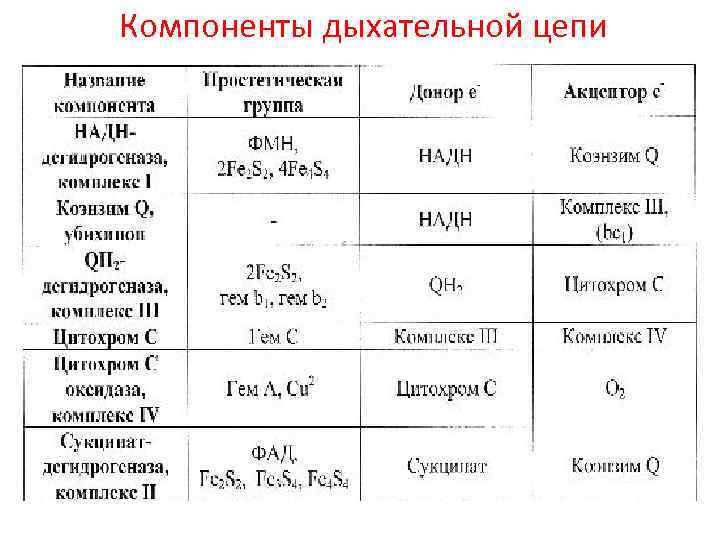 Компоненты дыхательной цепи 
