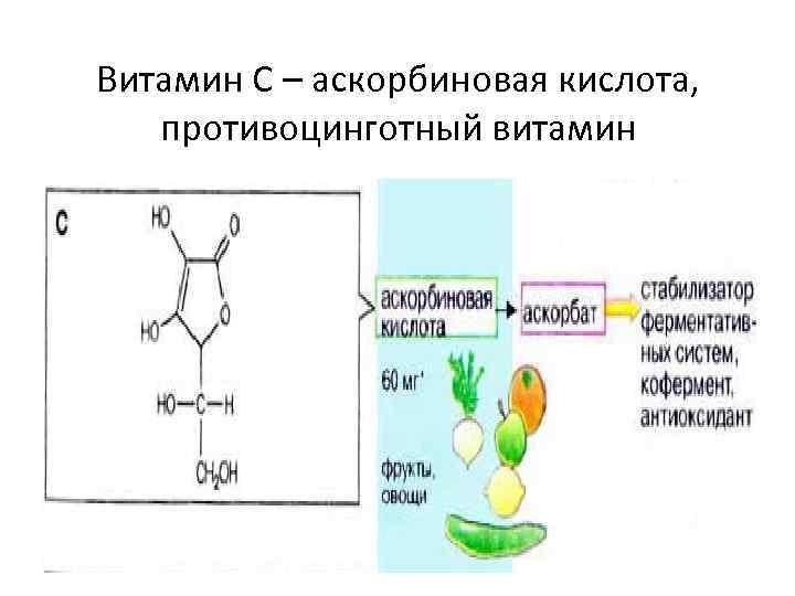 Витамин С – аскорбиновая кислота, противоцинготный витамин 