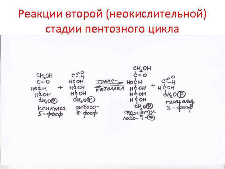 Реакции второй (неокислительной) стадии пентозного цикла 