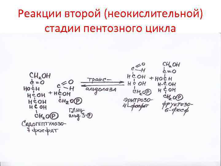 Реакции второй (неокислительной) стадии пентозного цикла 