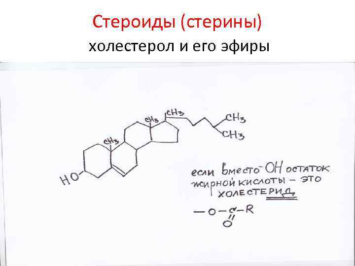 Стероиды (стерины) холестерол и его эфиры 