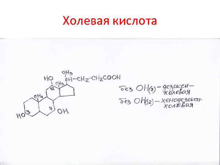 Холевая кислота 
