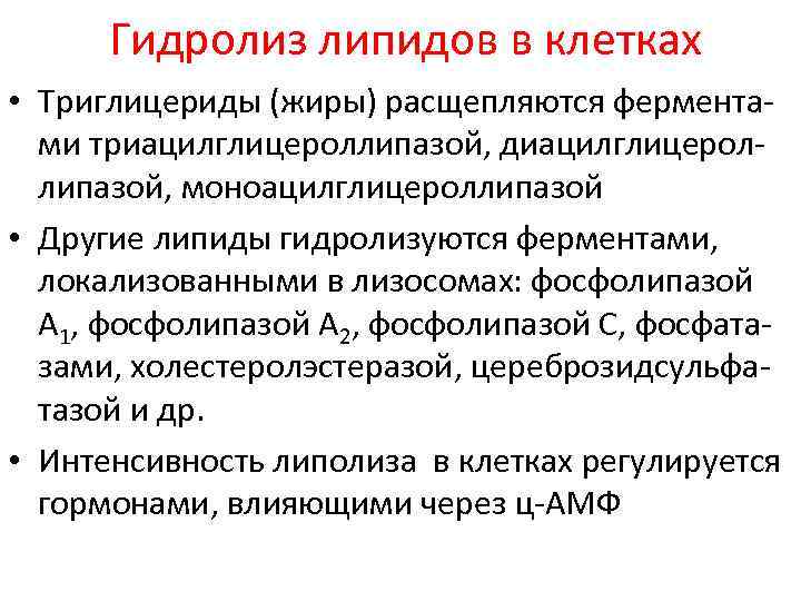 Гидролиз липидов в клетках • Триглицериды (жиры) расщепляются ферментами триацилглицероллипазой, диацилглицероллипазой, моноацилглицероллипазой • Другие