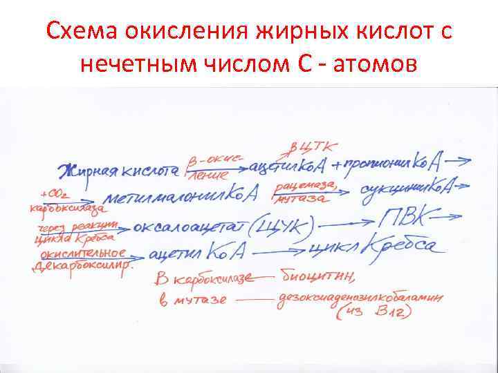 Схема окисления жирных кислот с нечетным числом С - атомов 