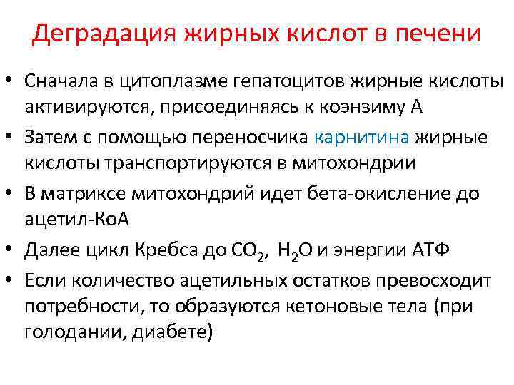 Деградация жирных кислот в печени • Сначала в цитоплазме гепатоцитов жирные кислоты активируются, присоединяясь