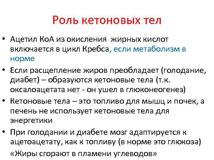 Роль кетоновых тел • Ацетил Ко. А из окисления жирных кислот включается в цикл