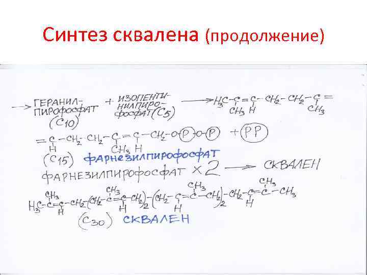 Синтез сквалена (продолжение) 