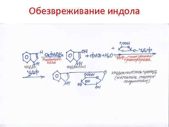 Обезвреживание индола 