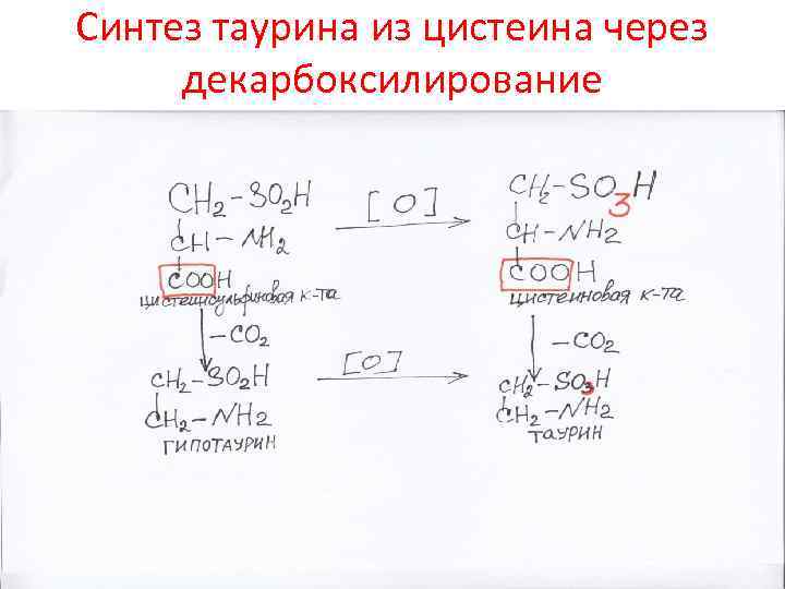 Синтез таурина из цистеина через декарбоксилирование 