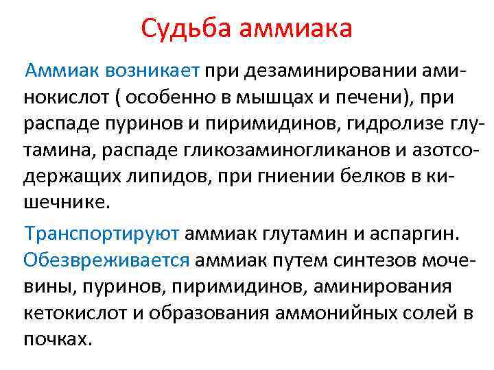 Судьба аммиака Аммиак возникает при дезаминировании аминокислот ( особенно в мышцах и печени), при