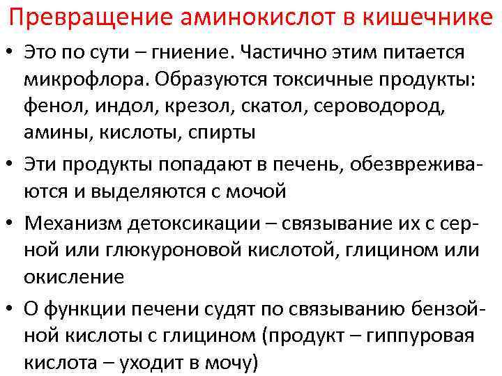 Превращение аминокислот в кишечнике • Это по сути – гниение. Частично этим питается микрофлора.