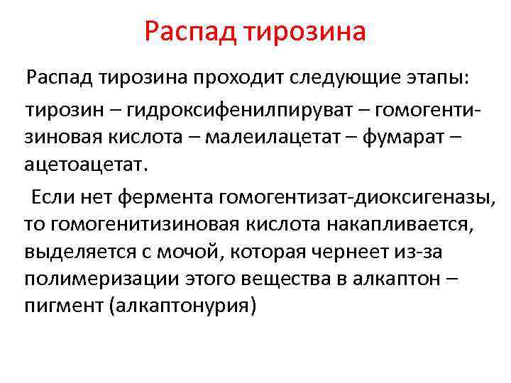 Распад тирозина проходит следующие этапы: тирозин – гидроксифенилпируват – гомогентизиновая кислота – малеилацетат –