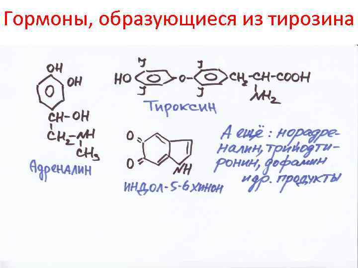 Гормоны, образующиеся из тирозина 