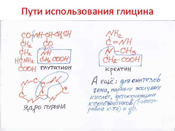 Пути использования глицина 