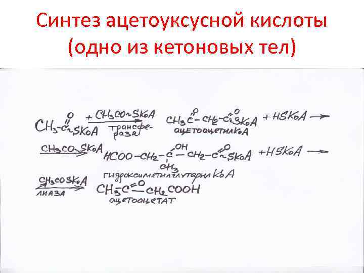 Списки синтез. Синтез ацетоуксусной кислоты. Биосинтез ацетоуксусной кислоты. Синтез ацетоуксусной кислоты биохимия. Ацетоуксусная кислота получение.