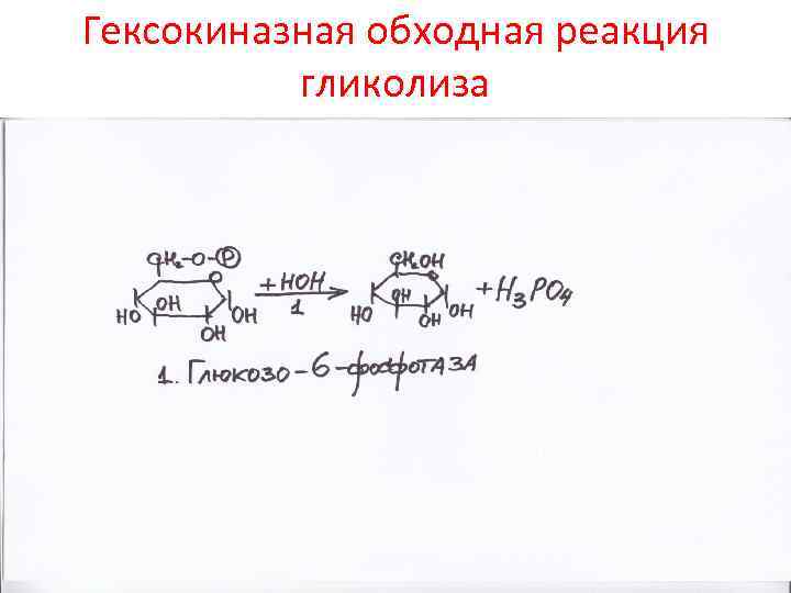 Гексокиназная обходная реакция гликолиза 