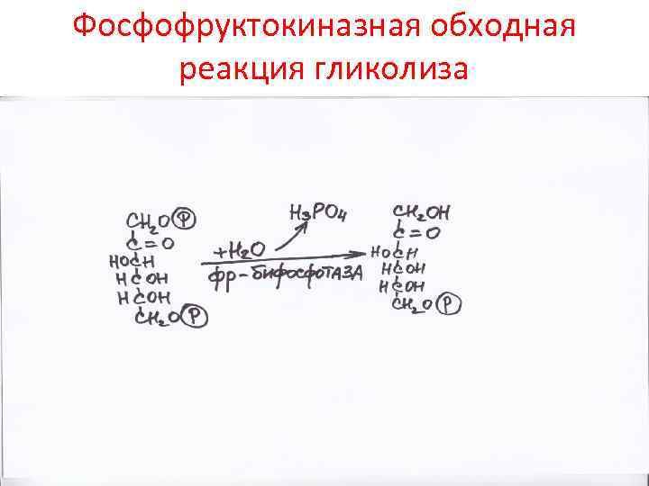 Фосфофруктокиназная обходная реакция гликолиза 