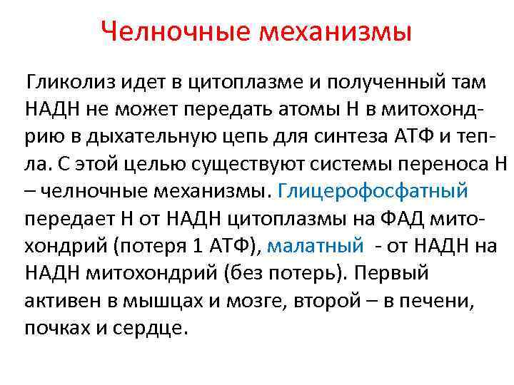 Челночные механизмы Гликолиз идет в цитоплазме и полученный там НАДН не может передать атомы