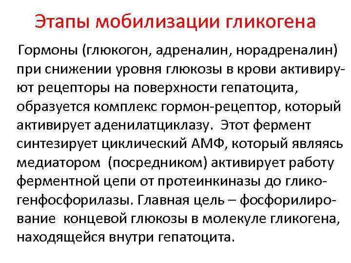 Этапы мобилизации гликогена Гормоны (глюкогон, адреналин, норадреналин) при снижении уровня глюкозы в крови активируют