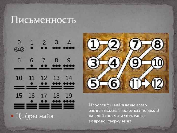 Письменность Цифры майя Иероглифы майя чаще всего записывались в колонках по два. В каждой