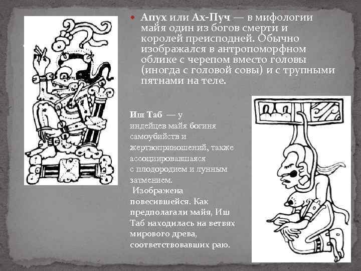  Апух или Ах-Пуч — в мифологии . майя один из богов смерти и