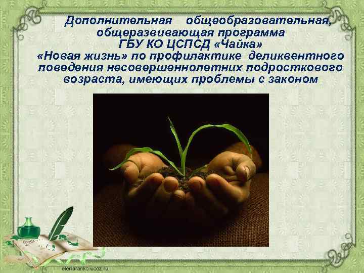 Дополнительная общеобразовательная, общеразвивающая программа ГБУ КО ЦСПСД «Чайка» «Новая жизнь» по профилактике деликвентного поведения