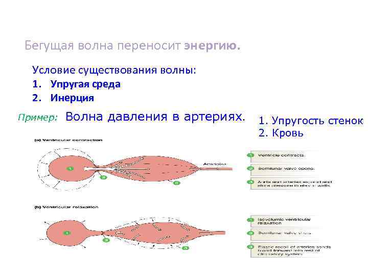 Бегущая волна переносит энергию. Условие существования волны: 1. Упругая среда 2. Инерция Пример: Волна