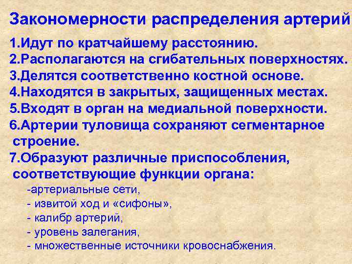 Закономерности распределения артерий 1. Идут по кратчайшему расстоянию. 2. Располагаются на сгибательных поверхностях. 3.