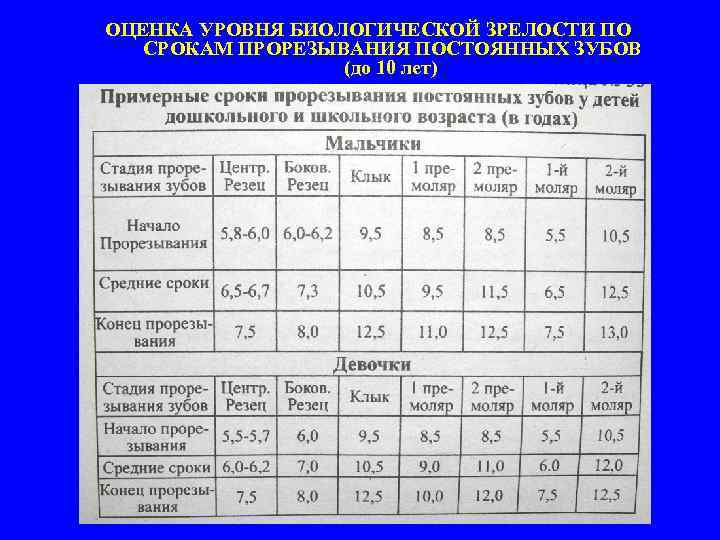 Уровень биологической зрелости. Оценка уровня биологического развития. Показатели биологического возраста у детей. Оценка биологического развития детей. Определение уровня биологического развития детей.