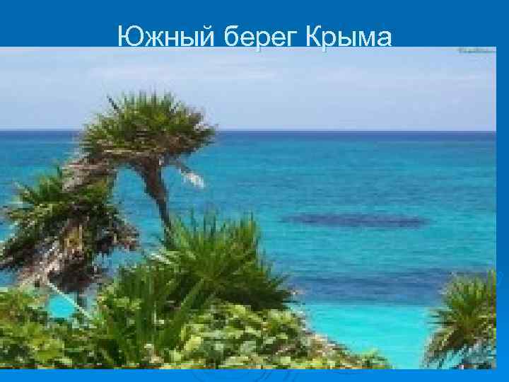 Южный берег Крыма 