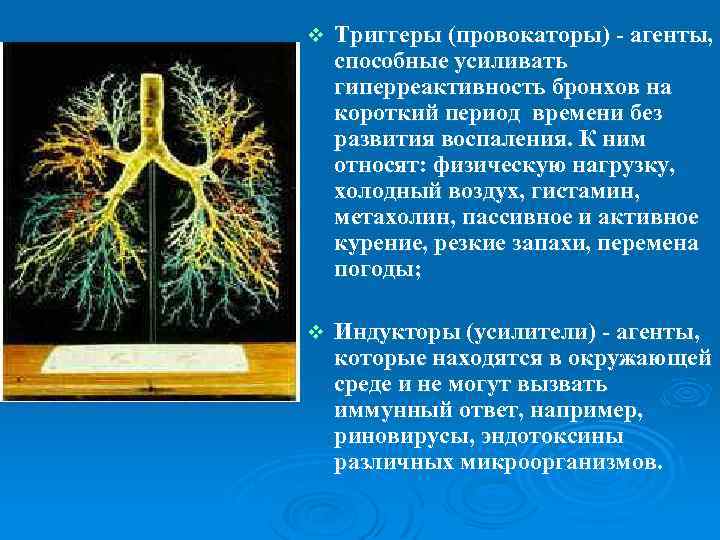 v Триггеры (провокаторы) - агенты, способные усиливать гиперреактивность бронхов на короткий период времени без