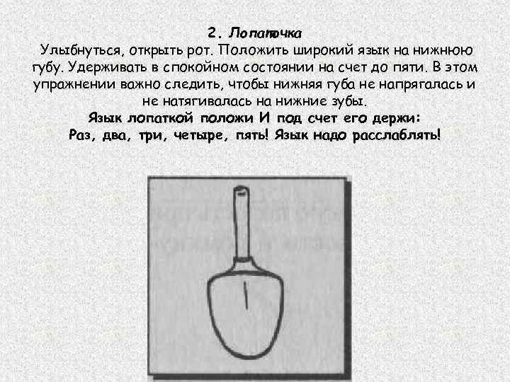 2. Лопаточка Улыбнуться, открыть рот. Положить широкий язык на нижнюю губу. Удерживать в спокойном