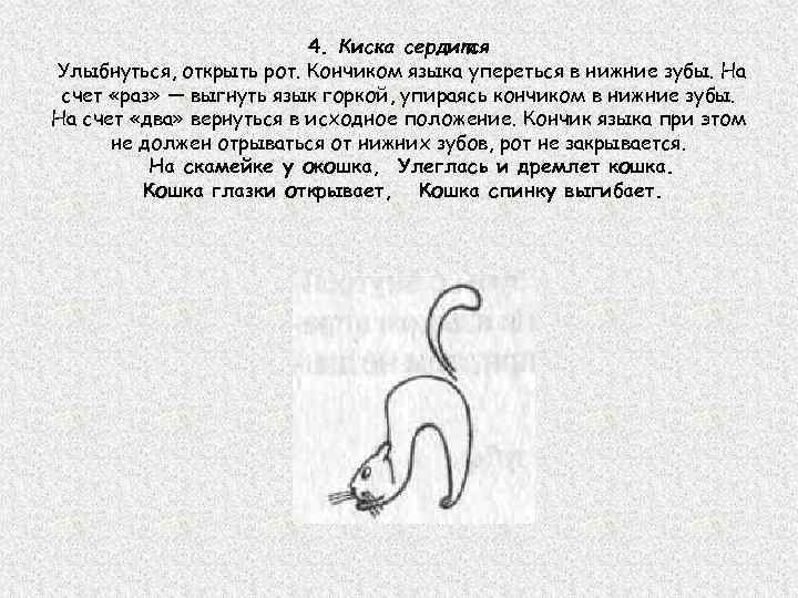 4. Киска сердится Улыбнуться, открыть рот. Кончиком языка упереться в нижние зубы. На счет