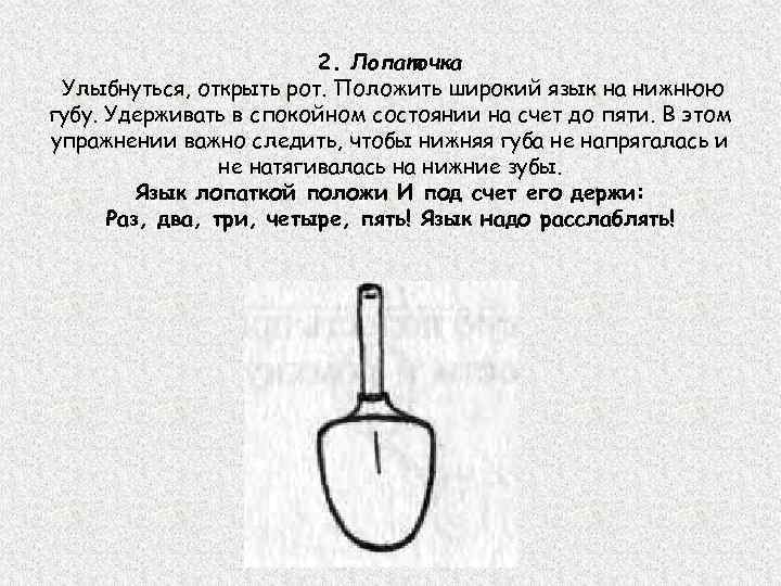 2. Лопаточка Улыбнуться, открыть рот. Положить широкий язык на нижнюю губу. Удерживать в спокойном