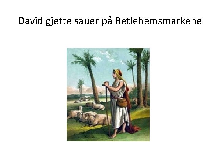 David gjette sauer på Betlehemsmarkene 