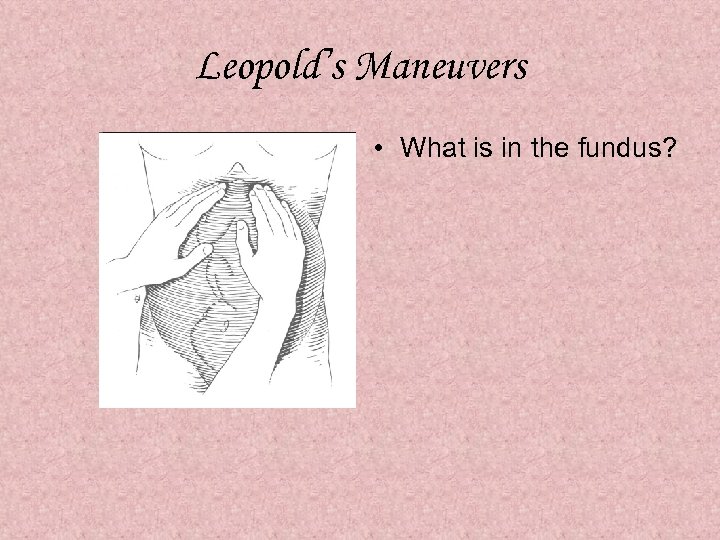 Leopold’s Maneuvers • What is in the fundus? 