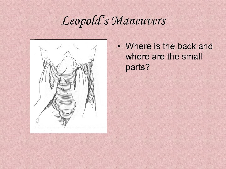 Leopold’s Maneuvers • Where is the back and where are the small parts? 