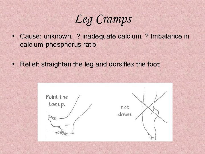 Leg Cramps • Cause: unknown. ? inadequate calcium, ? Imbalance in calcium-phosphorus ratio •