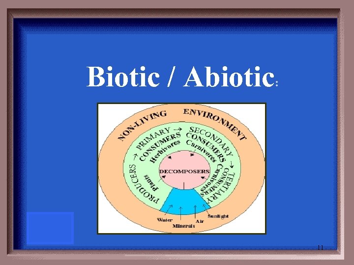 Biotic / Abiotic : 11 