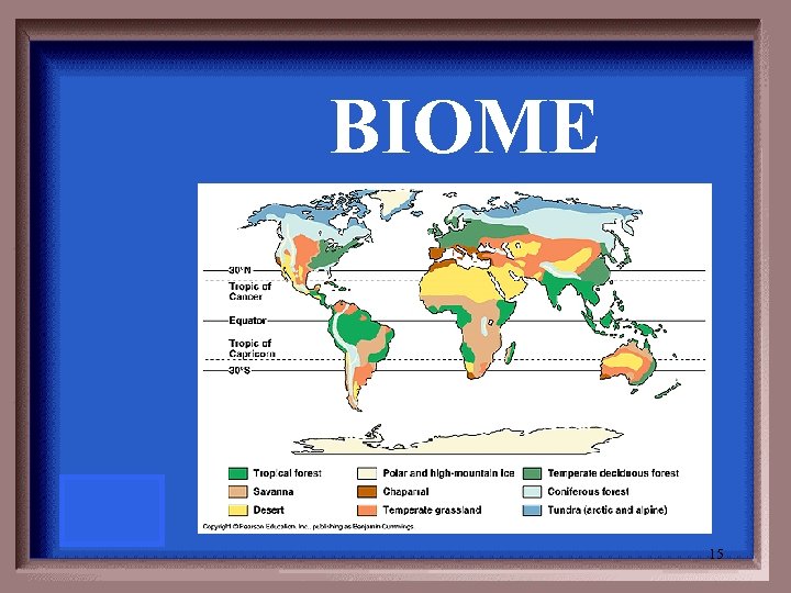 BIOME 15 