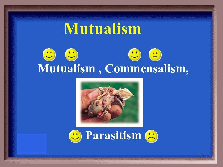 Mutualism , Commensalism, Parasitism 17 