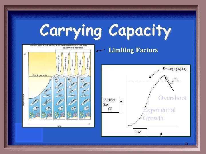 Carrying Capacity Limiting Factors Overshoot Exponential Growth 21 