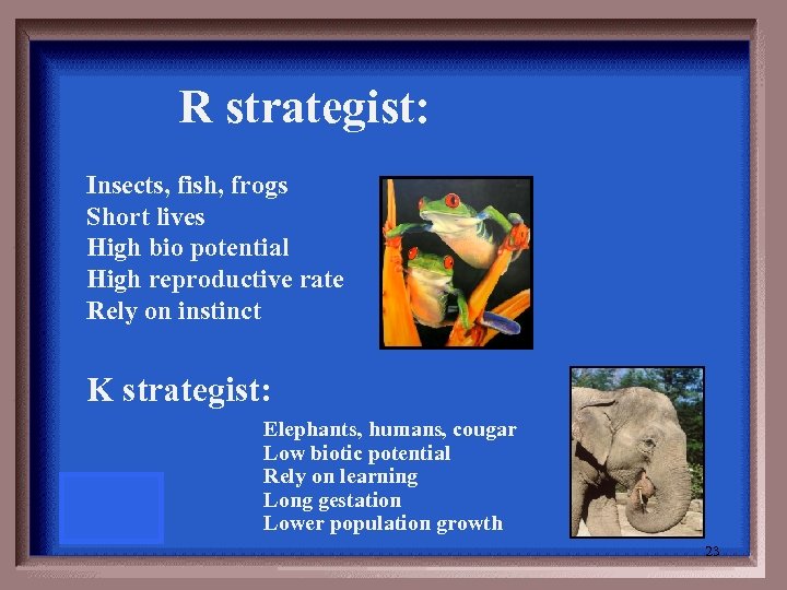 R strategist: Insects, fish, frogs Short lives High bio potential High reproductive rate Rely