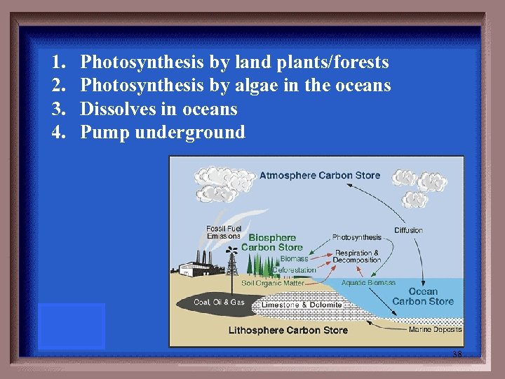 1. 2. 3. 4. Photosynthesis by land plants/forests Photosynthesis by algae in the oceans
